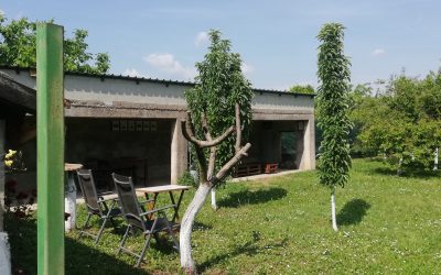 galerija