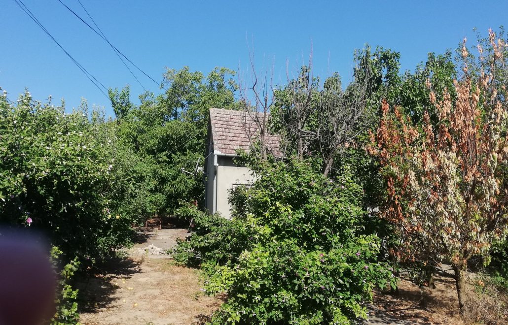 galerija