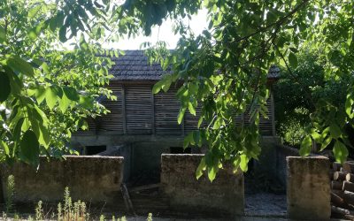 galerija