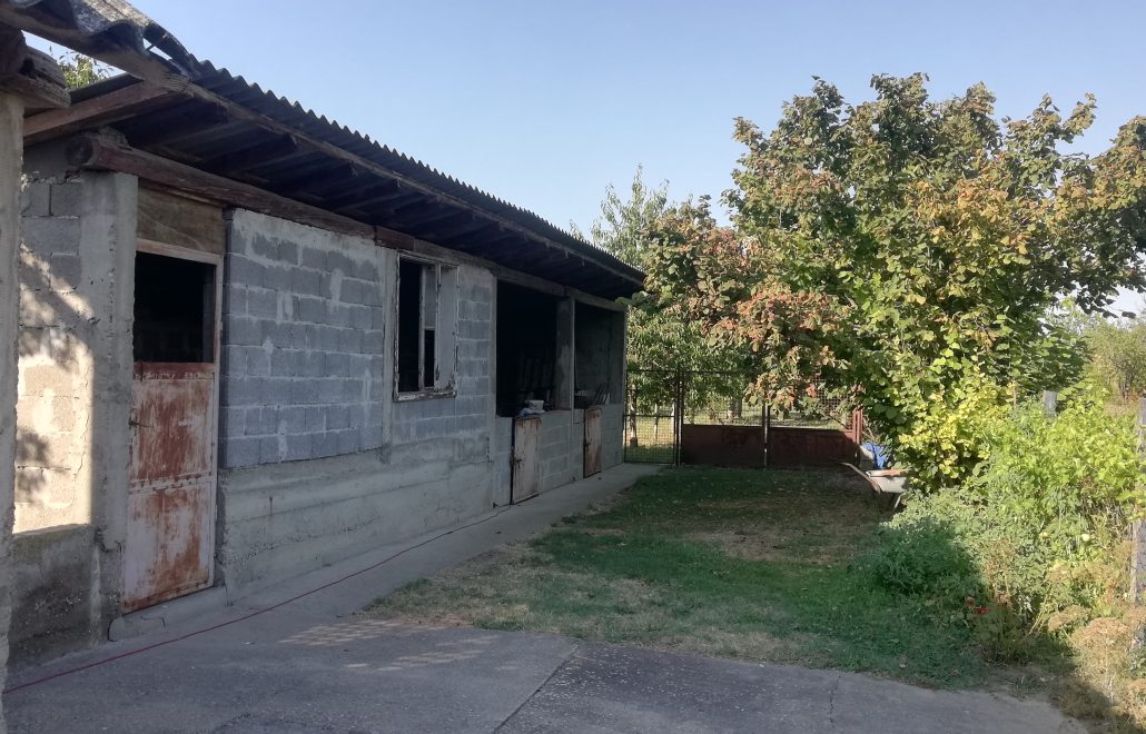 galerija