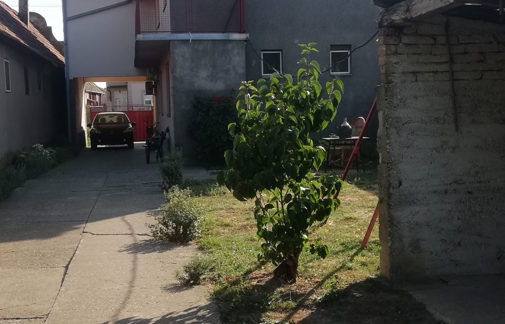 galerija